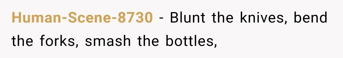 Human-Scene-8730 − Blunt the knives, bend the forks, smash the bottles,