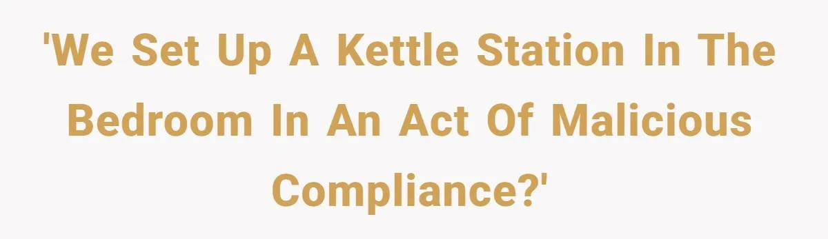 'We set up a kettle station in the bedroom in an act of malicious compliance?'