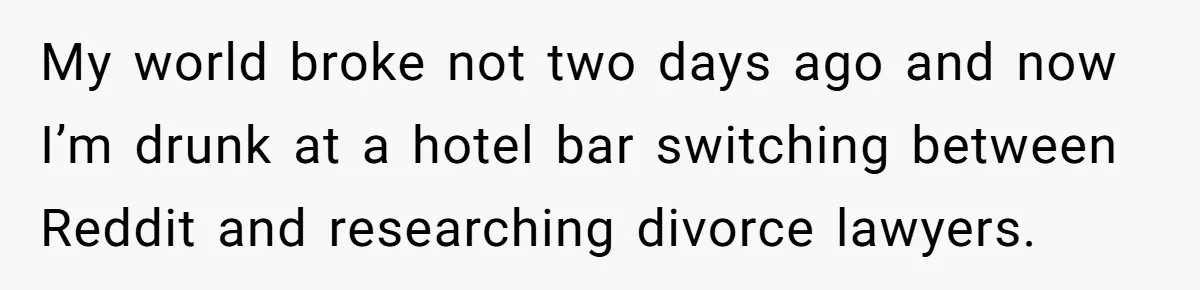 My world broke not two days ago and now I’m drunk at a hotel bar switching between Reddit and researching divorce lawyers.