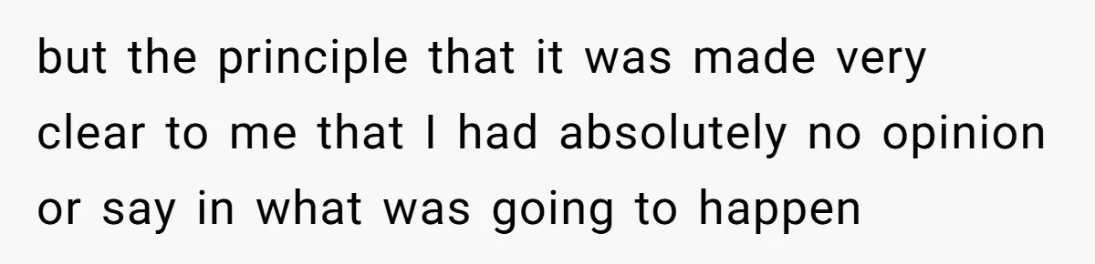 but the principle that it was made very clear to me that I had absolutely no opinion or say in what was going to happen