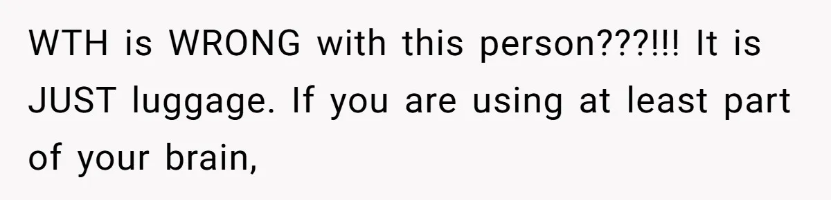 WTH is WRONG with this person???!!! It is JUST luggage. If you are using at least part of your brain,