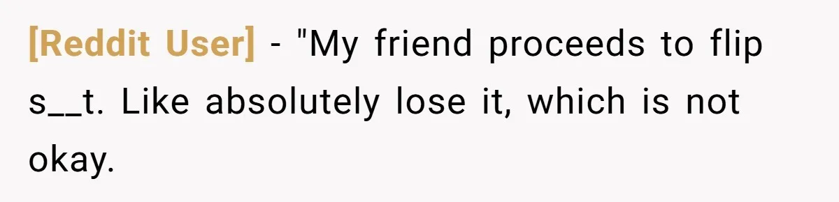 [Reddit User] − "My friend proceeds to flip s__t. Like absolutely lose it, which is not okay.