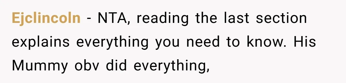 Ejclincoln − NTA, reading the last section explains everything you need to know. His Mummy obv did everything,