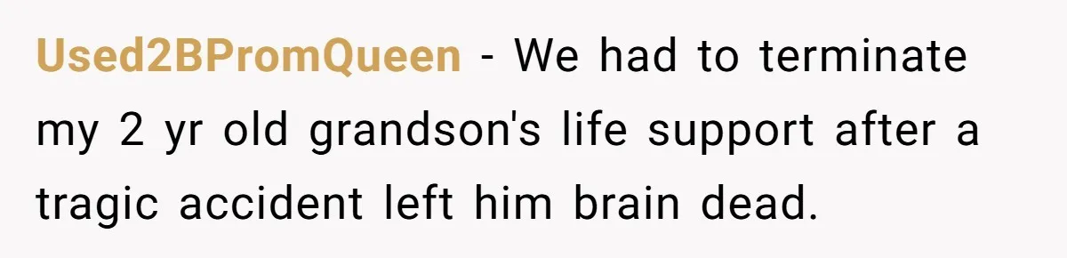 Used2BPromQueen − We had to terminate my 2 yr old grandson's life support after a tragic accident left him brain dead.