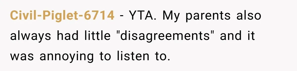 Civil-Piglet-6714 − YTA. My parents also always had little "disagreements" and it was annoying to listen to.
