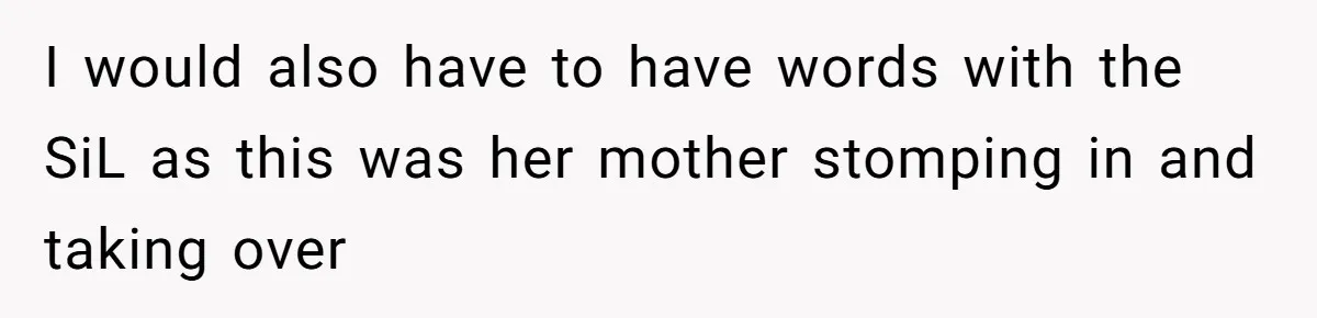 I would also have to have words with the SiL as this was her mother stomping in and taking over