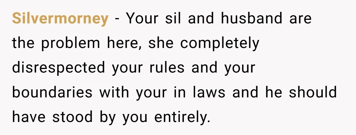 Silvermorney − Your sil and husband are the problem here, she completely disrespected your rules and your boundaries with your in laws and he should have stood by you entirely.