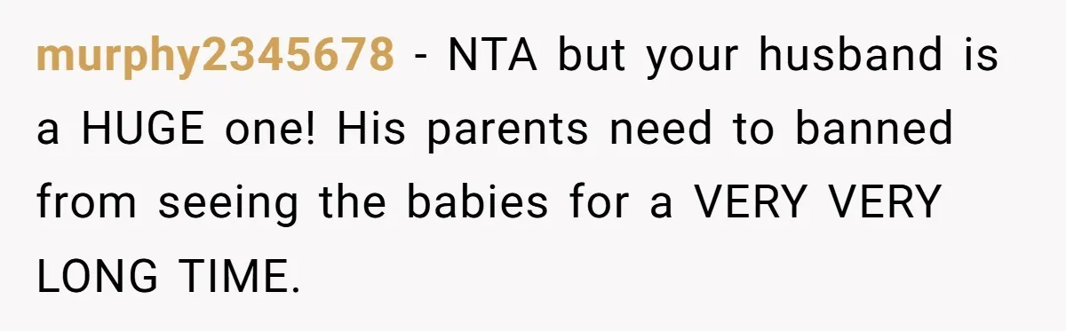murphy2345678 − NTA but your husband is a HUGE one! His parents need to banned from seeing the babies for a VERY VERY LONG TIME.