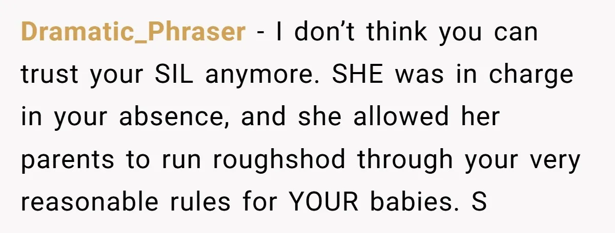 Dramatic_Phraser − I don’t think you can trust your SIL anymore. SHE was in charge in your absence, and she allowed her parents to run roughshod through your very reasonable...