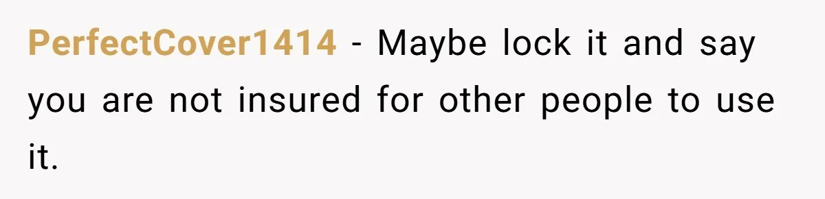PerfectCover1414 − Maybe lock it and say you are not insured for other people to use it.