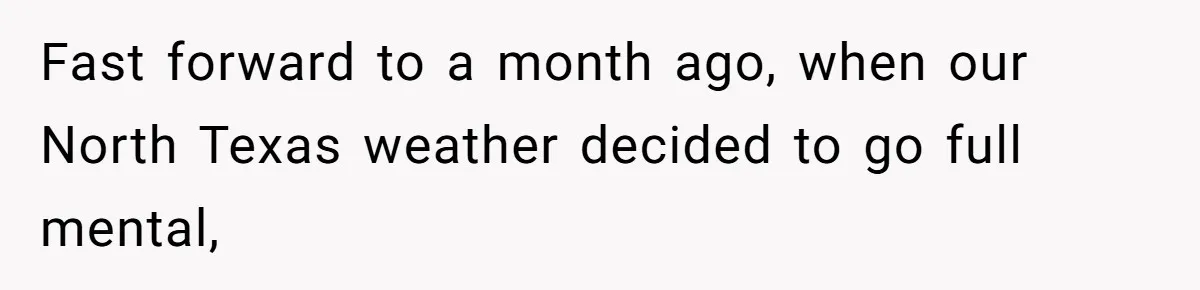 Fast forward to a month ago, when our North Texas weather decided to go full mental,