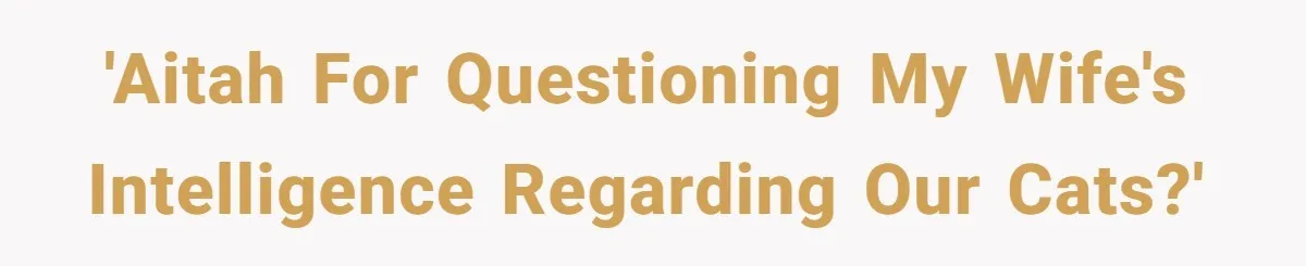 'AITAH for questioning my wife's intelligence regarding our cats?'