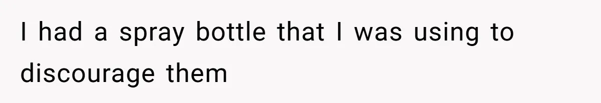 I had a spray bottle that I was using to discourage them