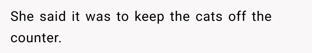 She said it was to keep the cats off the counter.