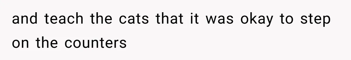 and teach the cats that it was okay to step on the counters