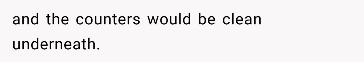 and the counters would be clean underneath.