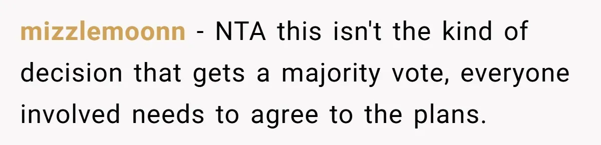mizzlemoonn − NTA this isn't the kind of decision that gets a majority vote, everyone involved needs to agree to the plans.