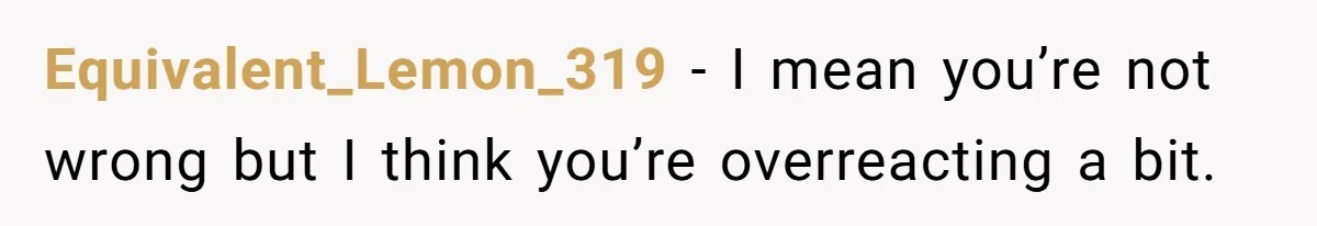 Equivalent_Lemon_319 − I mean you’re not wrong but I think you’re overreacting a bit.