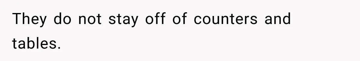 They do not stay off of counters and tables.