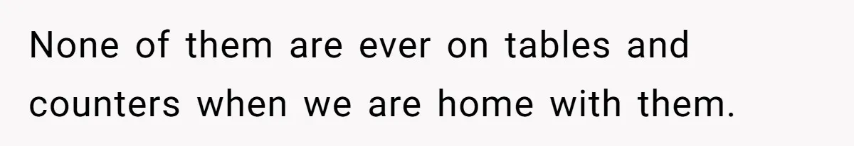 None of them are ever on tables and counters when we are home with them.