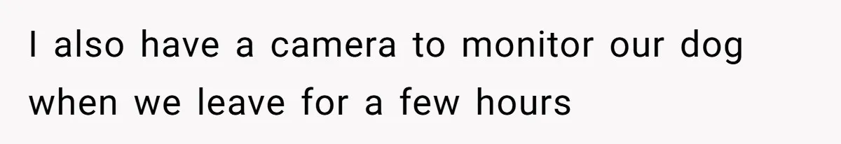 I also have a camera to monitor our dog when we leave for a few hours
