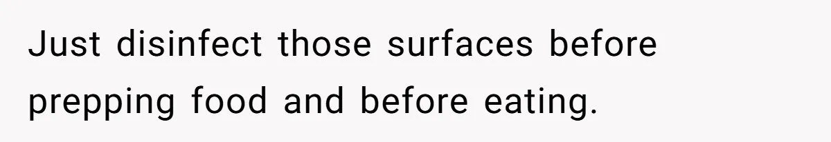 Just disinfect those surfaces before prepping food and before eating.
