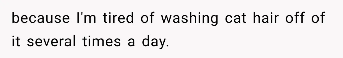 because I'm tired of washing cat hair off of it several times a day.