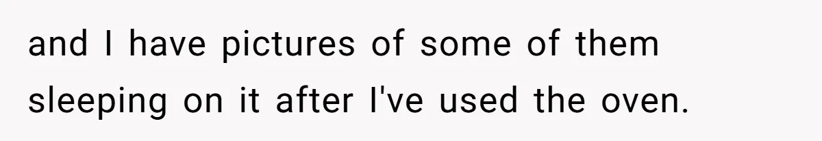 and I have pictures of some of them sleeping on it after I've used the oven.