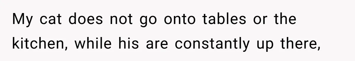 My cat does not go onto tables or the kitchen, while his are constantly up there,
