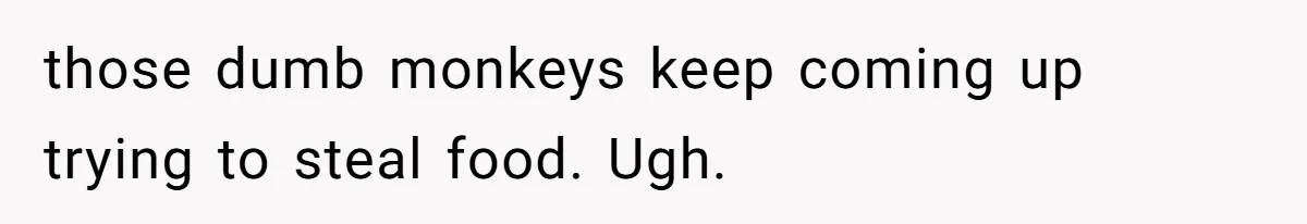 those dumb monkeys keep coming up trying to steal food. Ugh.