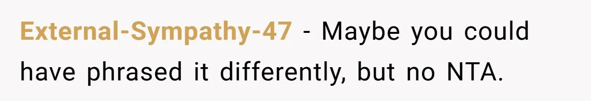 External-Sympathy-47 − Maybe you could have phrased it differently, but no NTA.