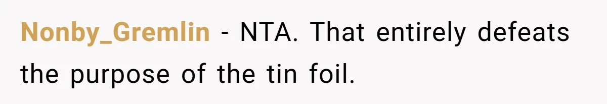 Nonby_Gremlin − NTA. That entirely defeats the purpose of the tin foil.