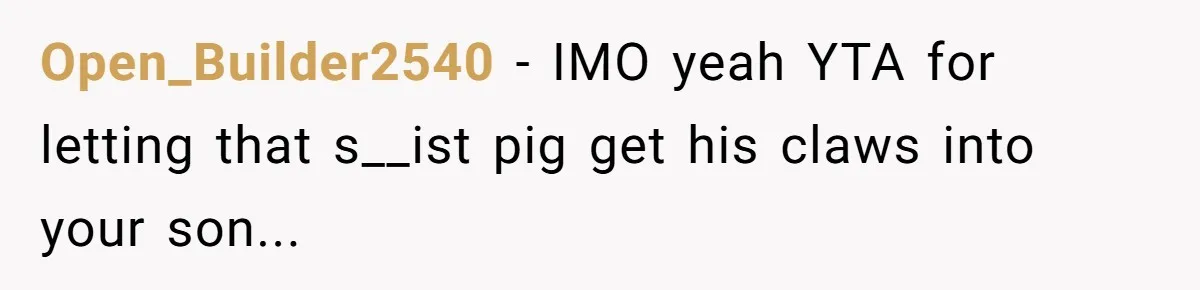 Open_Builder2540 − IMO yeah YTA for letting that s__ist pig get his claws into your son...