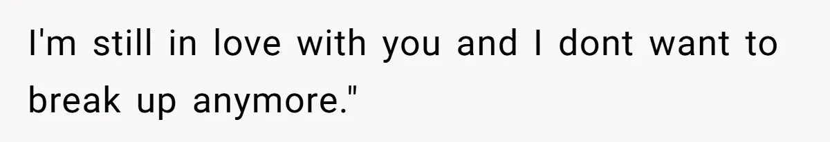 I'm still in love with you and I dont want to break up anymore."