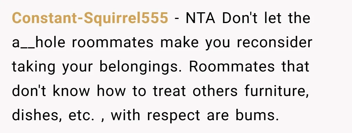 Constant-Squirrel555 − NTA Don't let the a__hole roommates make you reconsider taking your belongings. Roommates that don't know how to treat others furniture, dishes, etc. , with respect are bums.