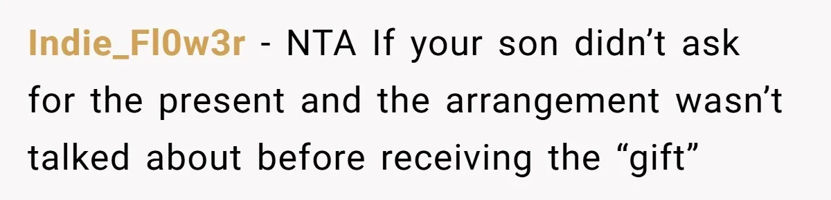Indie_Fl0w3r − NTA If your son didn’t ask for the present and the arrangement wasn’t talked about before receiving the “gift”