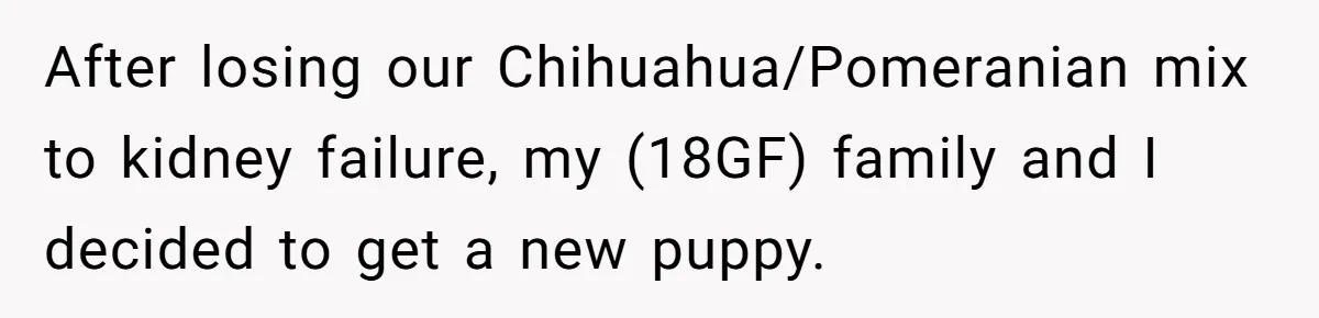 After losing our Chihuahua/Pomeranian mix to kidney failure, my (18GF) family and I decided to get a new puppy.