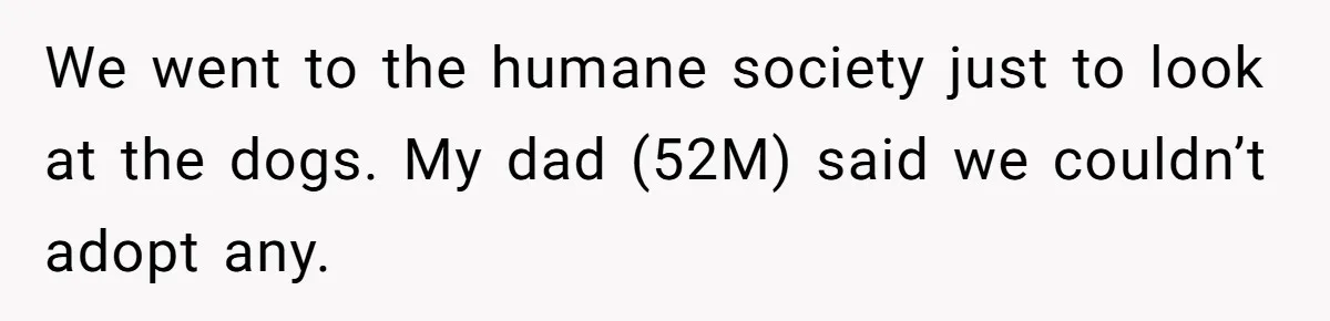 We went to the humane society just to look at the dogs. My dad (52M) said we couldn’t adopt any.