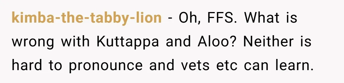 kimba-the-tabby-lion − Oh, FFS. What is wrong with Kuttappa and Aloo? Neither is hard to pronounce and vets etc can learn.