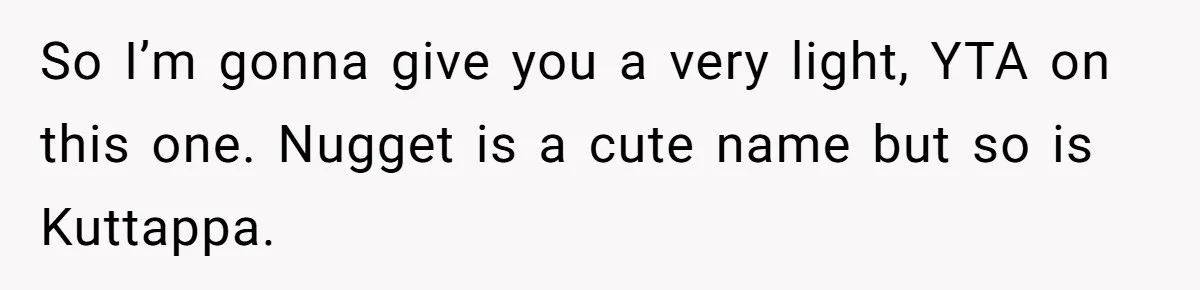 So I’m gonna give you a very light, YTA on this one. Nugget is a cute name but so is Kuttappa.