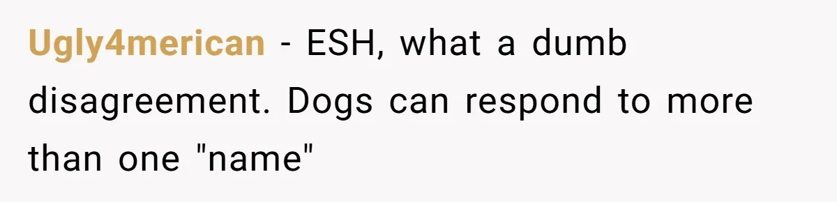 Ugly4merican − ESH, what a dumb disagreement. Dogs can respond to more than one "name"