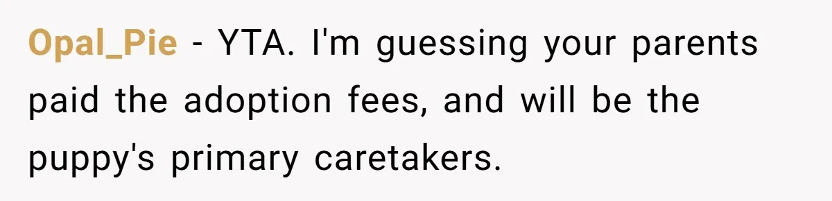 Opal_Pie − YTA. I'm guessing your parents paid the adoption fees, and will be the puppy's primary caretakers.