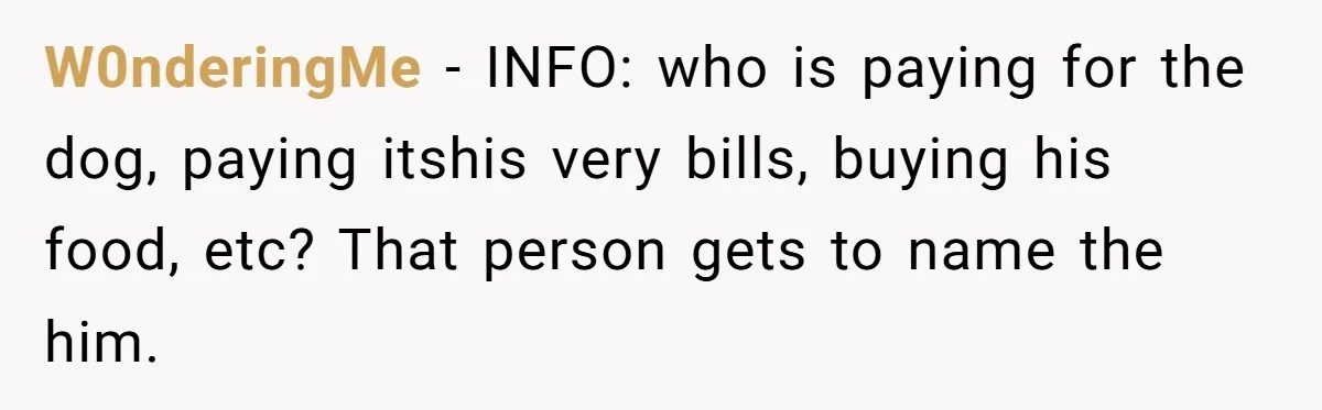 W0nderingMe − INFO: who is paying for the dog, paying itshis very bills, buying his food, etc? That person gets to name the him.