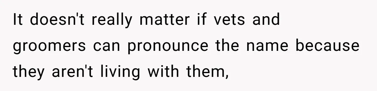It doesn't really matter if vets and groomers can pronounce the name because they aren't living with them,