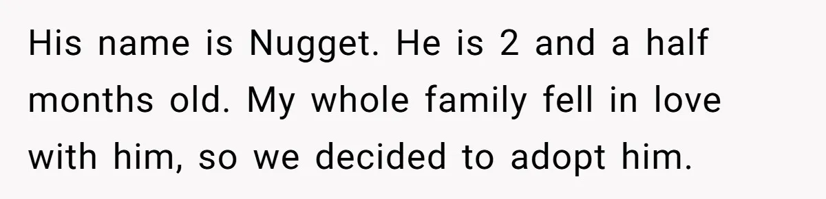 His name is Nugget. He is 2 and a half months old. My whole family fell in love with him, so we decided to adopt him.