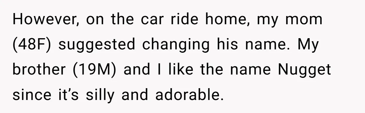 However, on the car ride home, my mom (48F) suggested changing his name. My brother (19M) and I like the name Nugget since it’s silly and adorable.