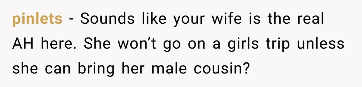 pinlets − Sounds like your wife is the real AH here. She won’t go on a girls trip unless she can bring her male cousin?