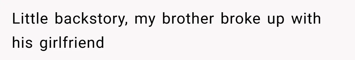 Little backstory, my brother broke up with his girlfriend