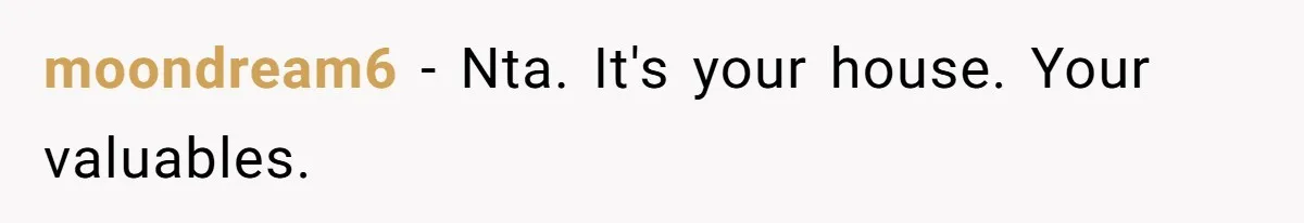 moondream6 − Nta. It's your house. Your valuables.