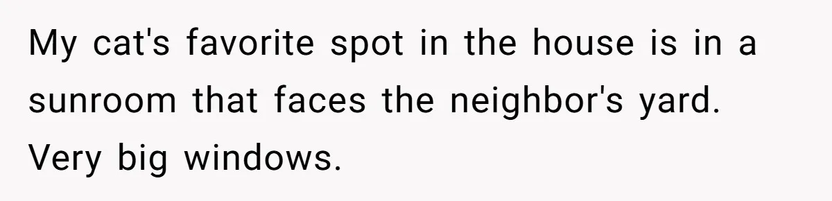 My cat's favorite spot in the house is in a sunroom that faces the neighbor's yard. Very big windows.